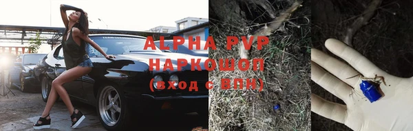 a pvp Бородино