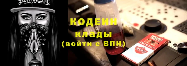 a pvp Бородино