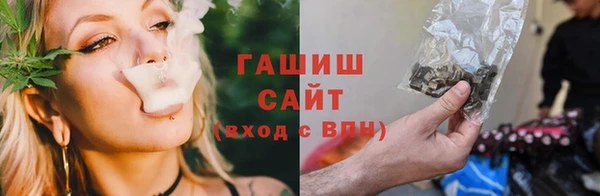 a pvp Бородино