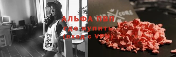 a pvp Бородино