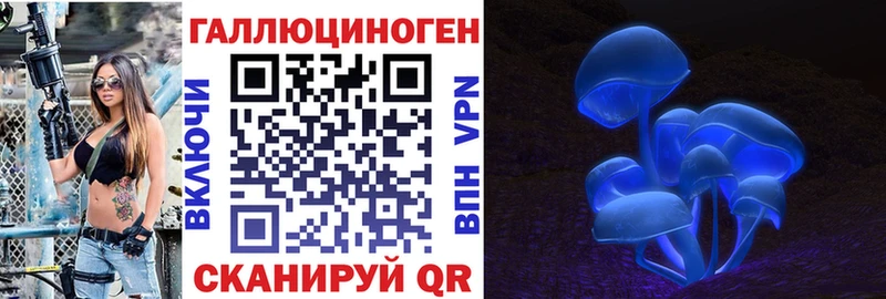 магазин продажи наркотиков  Эртиль  Псилоцибиновые грибы Psilocybe 